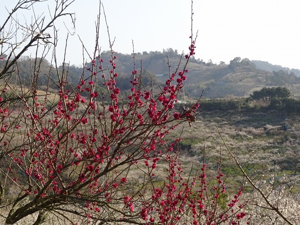 b0299042_13261735.jpg