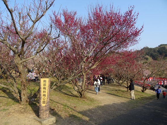b0299042_13263664.jpg