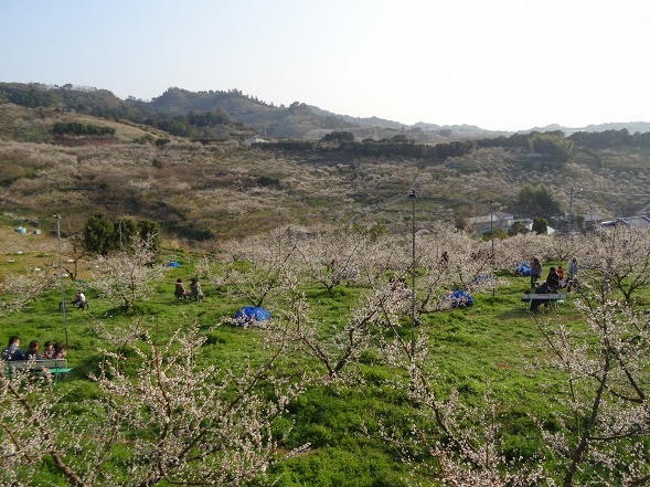 b0299042_13273590.jpg