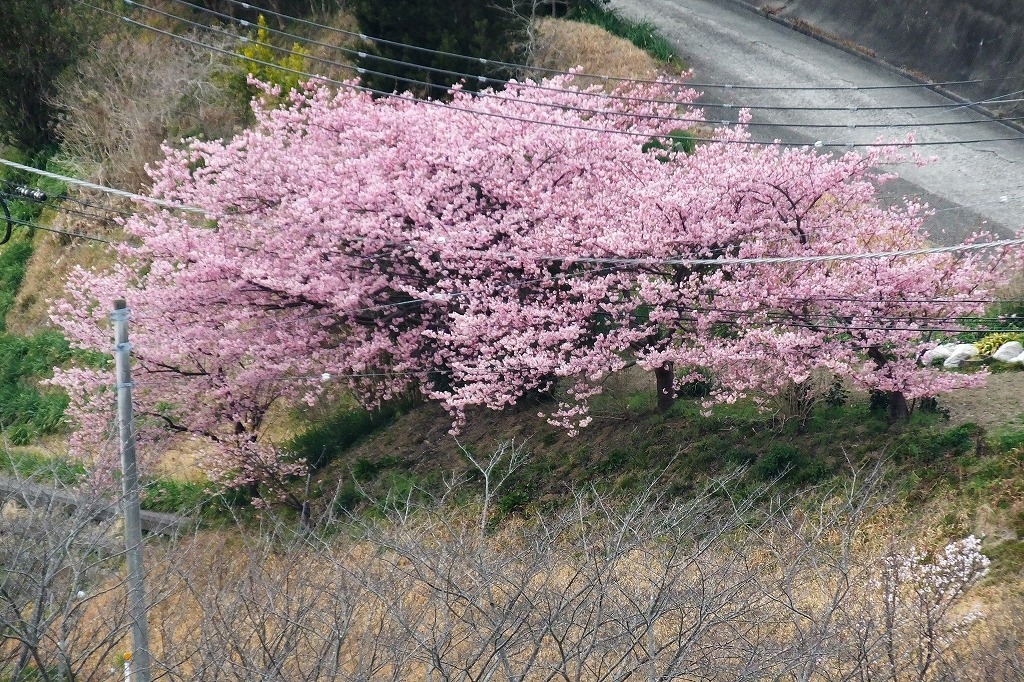 b0236251_10273160.jpg