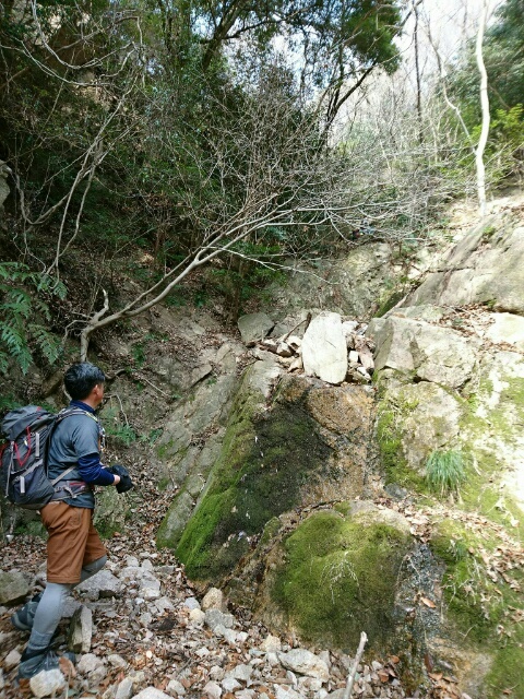 c0260463_07373013.jpg