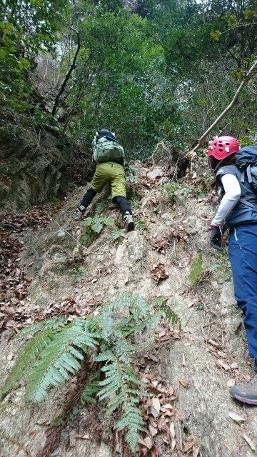 c0260463_07431696.jpg