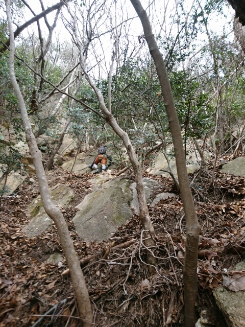 c0260463_07433829.jpg