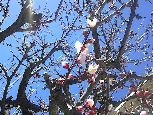 c0077465_11502979.jpg
