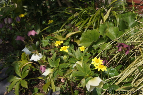 e0181373_20232197.jpg