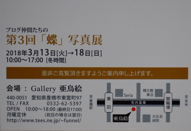 「蝶」写真展　開催_f0179175_20112268.jpg