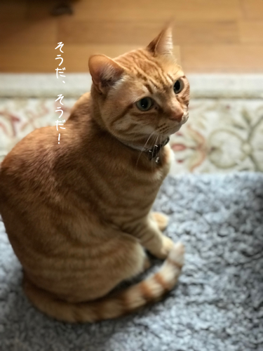 a0216583_14203051.png