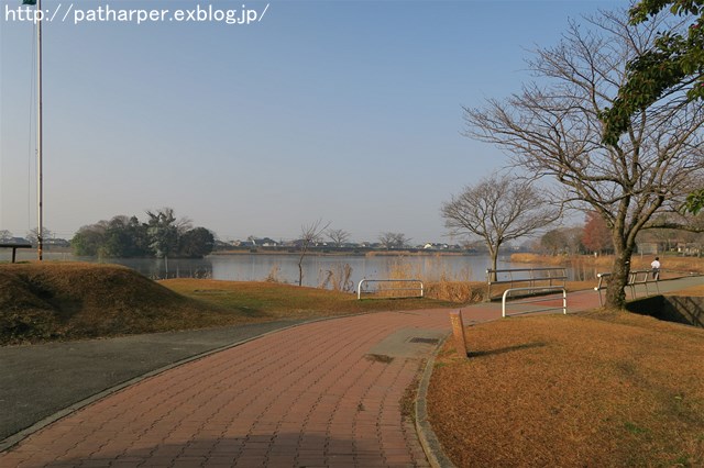 a0052986_23395035.jpg