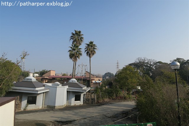 a0052986_2354775.jpg