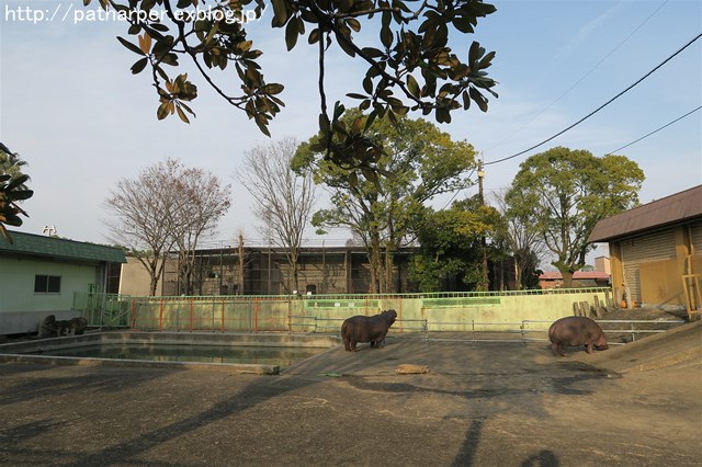 a0052986_23584516.jpg