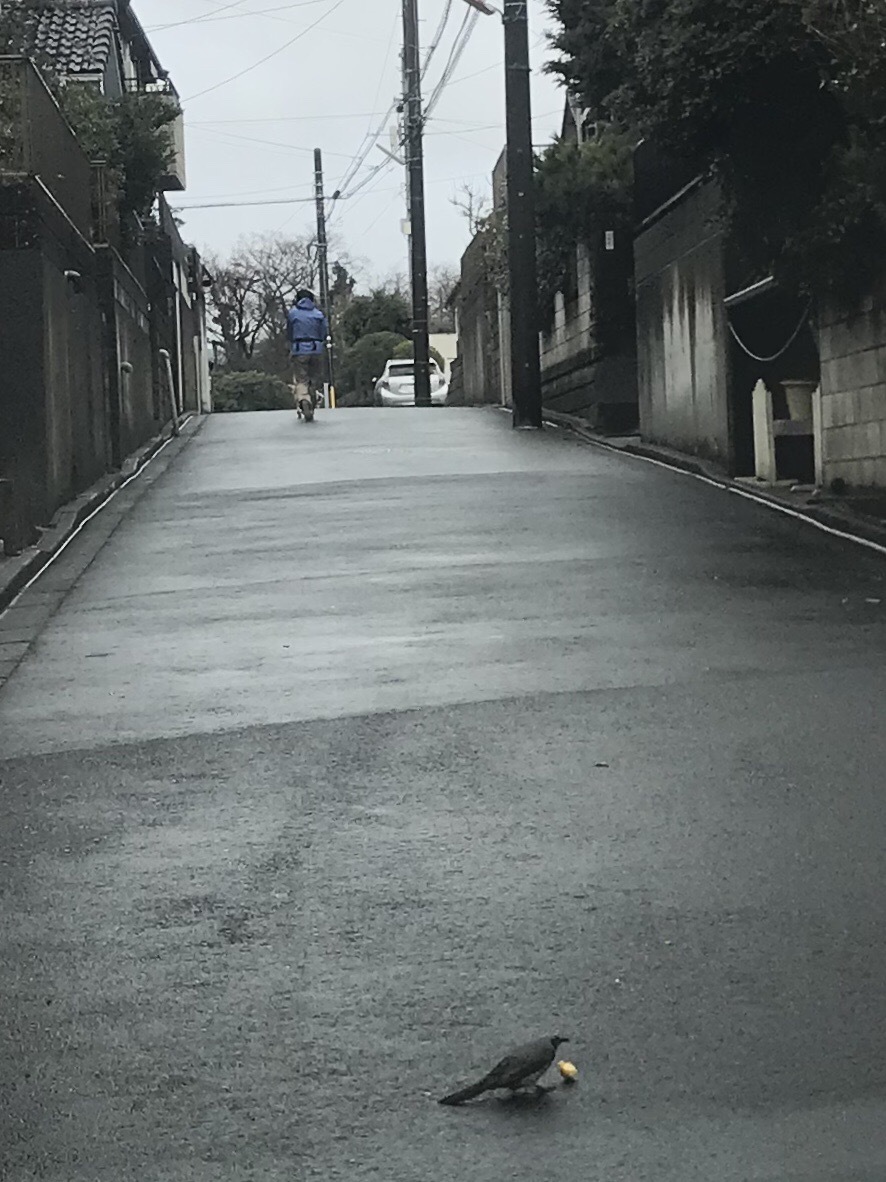 a0027290_22510382.jpeg