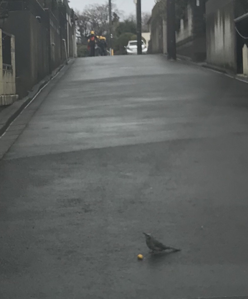 a0027290_22524237.jpeg