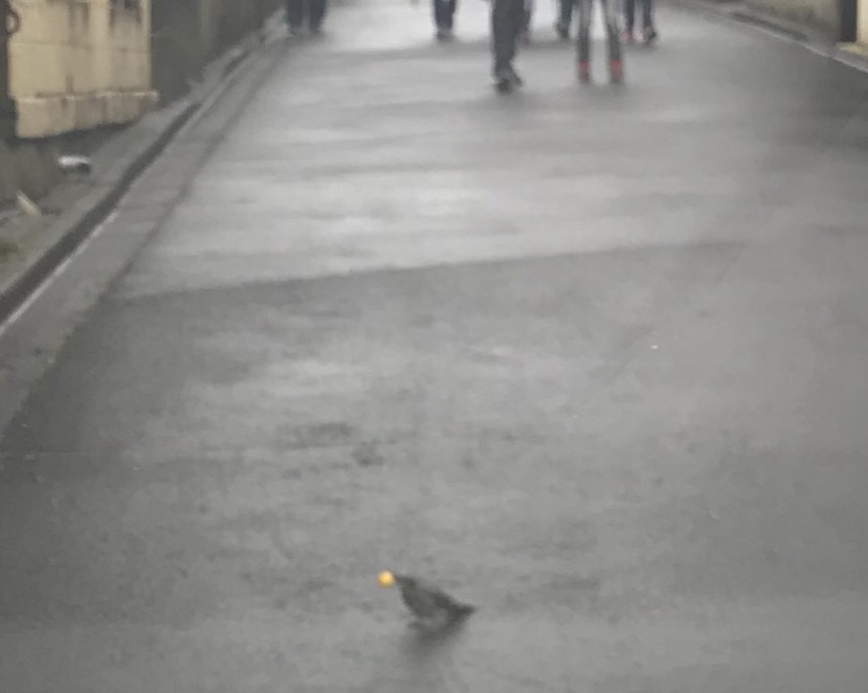 a0027290_22562614.jpeg