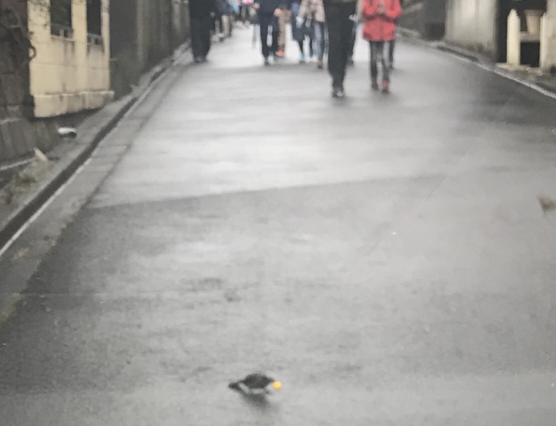 a0027290_22563551.jpeg