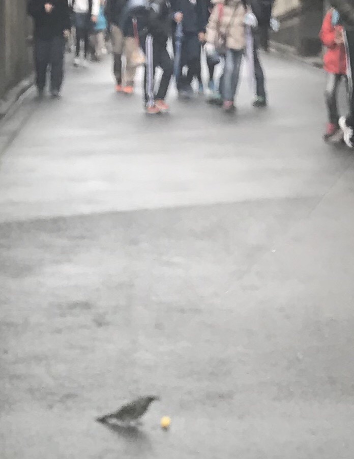 a0027290_22571269.jpeg