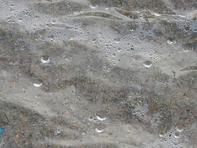 b0051598_20234756.jpg
