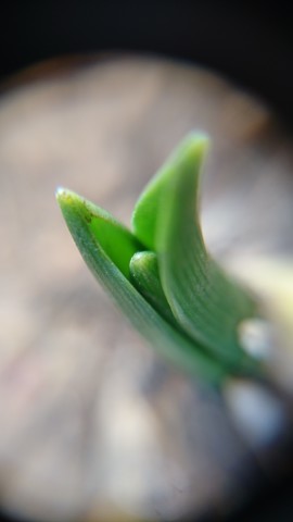 f0324510_15120737.jpg
