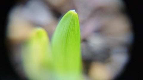f0324510_15122842.jpg