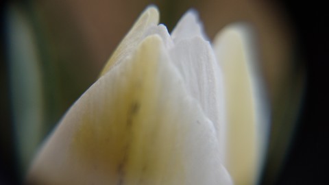 f0324510_15123992.jpg