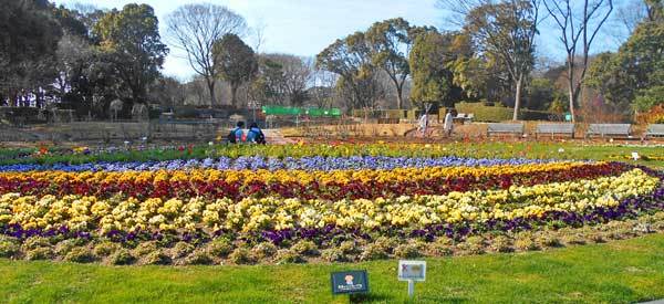 福岡植物園_b0067613_17594580.jpg