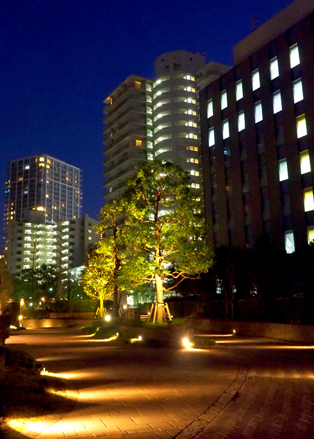 佃島　夕景・夜景　（３月２日）_a0023315_22464860.jpg