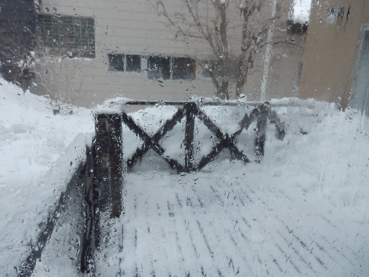 今年一番の重い雪が暴風下、今年一番に厚く積もりました_c0025115_19544683.jpg