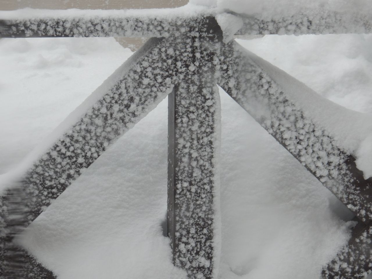 今年一番の重い雪が暴風下、今年一番に厚く積もりました_c0025115_19560887.jpg