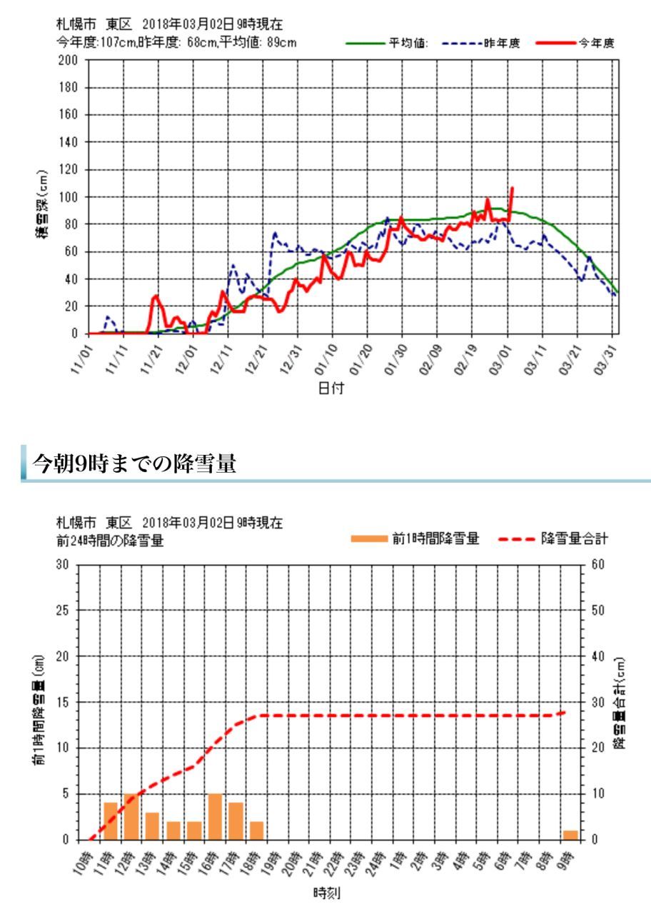 今年一番の重い雪が暴風下、今年一番に厚く積もりました_c0025115_19580816.jpg