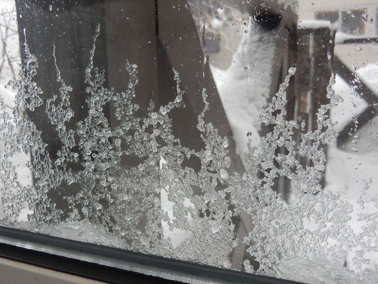 今年一番の重い雪が暴風下、今年一番に厚く積もりました_c0025115_20034086.jpg