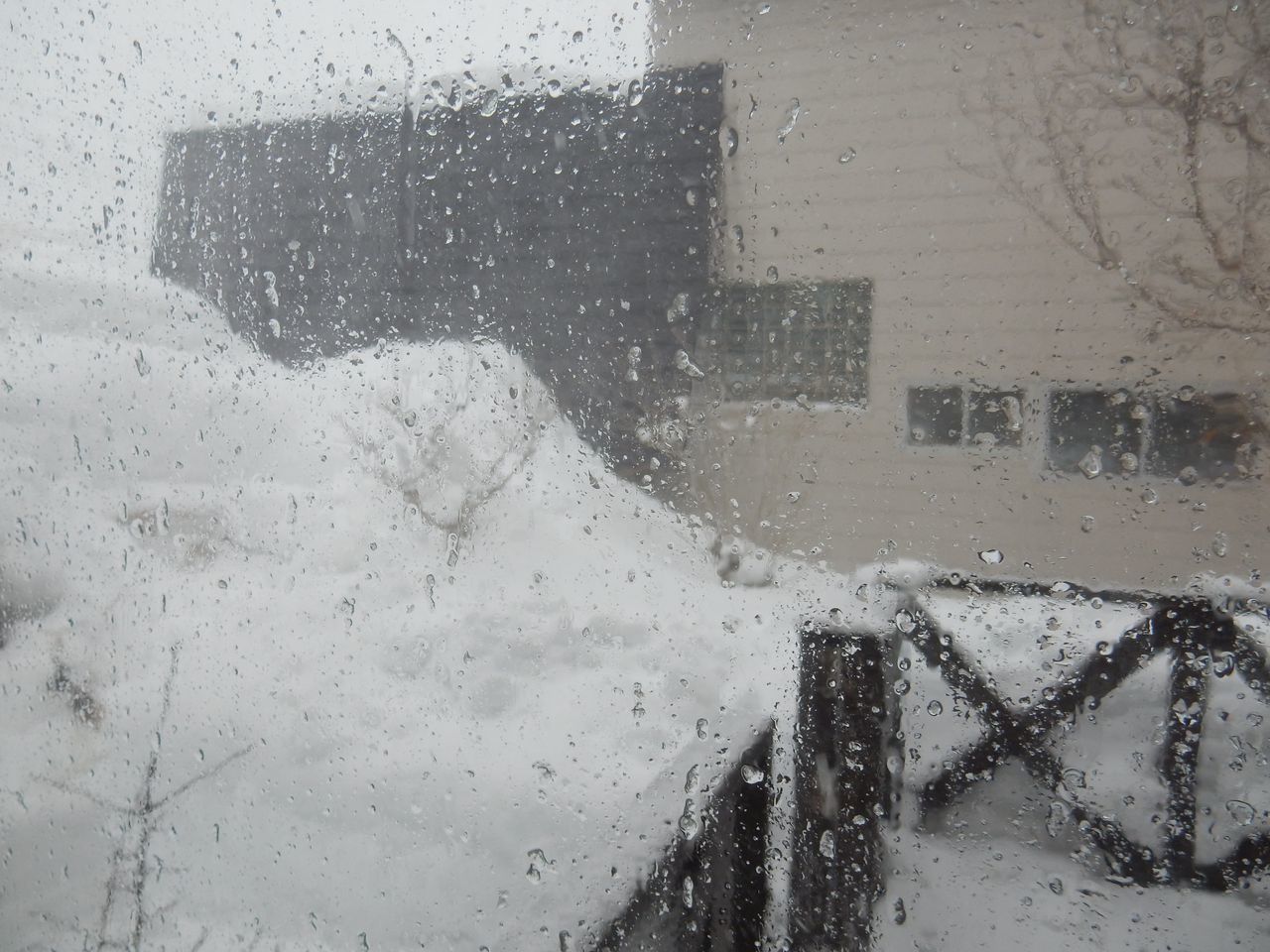 今年一番の重い雪が暴風下、今年一番に厚く積もりました_c0025115_20035847.jpg