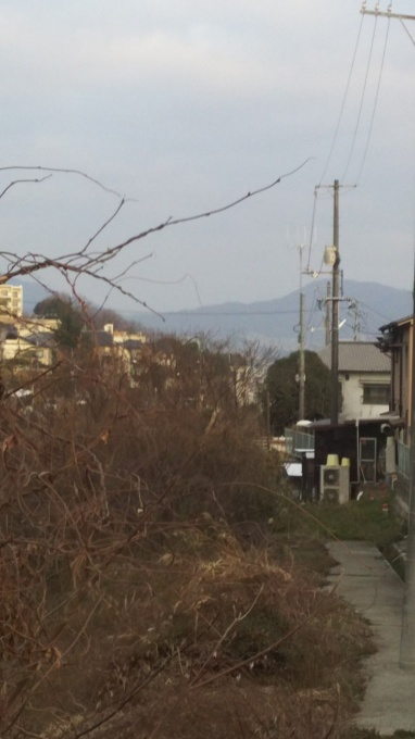 西表島で震度5弱_e0094315_07180350.jpg
