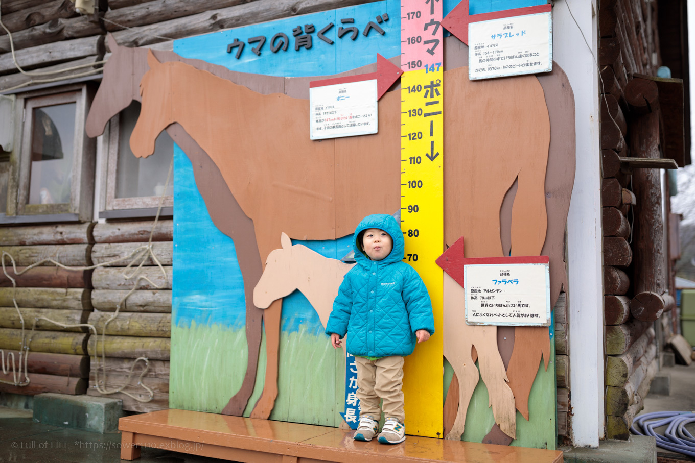 雨の日の動物園「こども動物自然公園」_c0369219_16495001.jpg