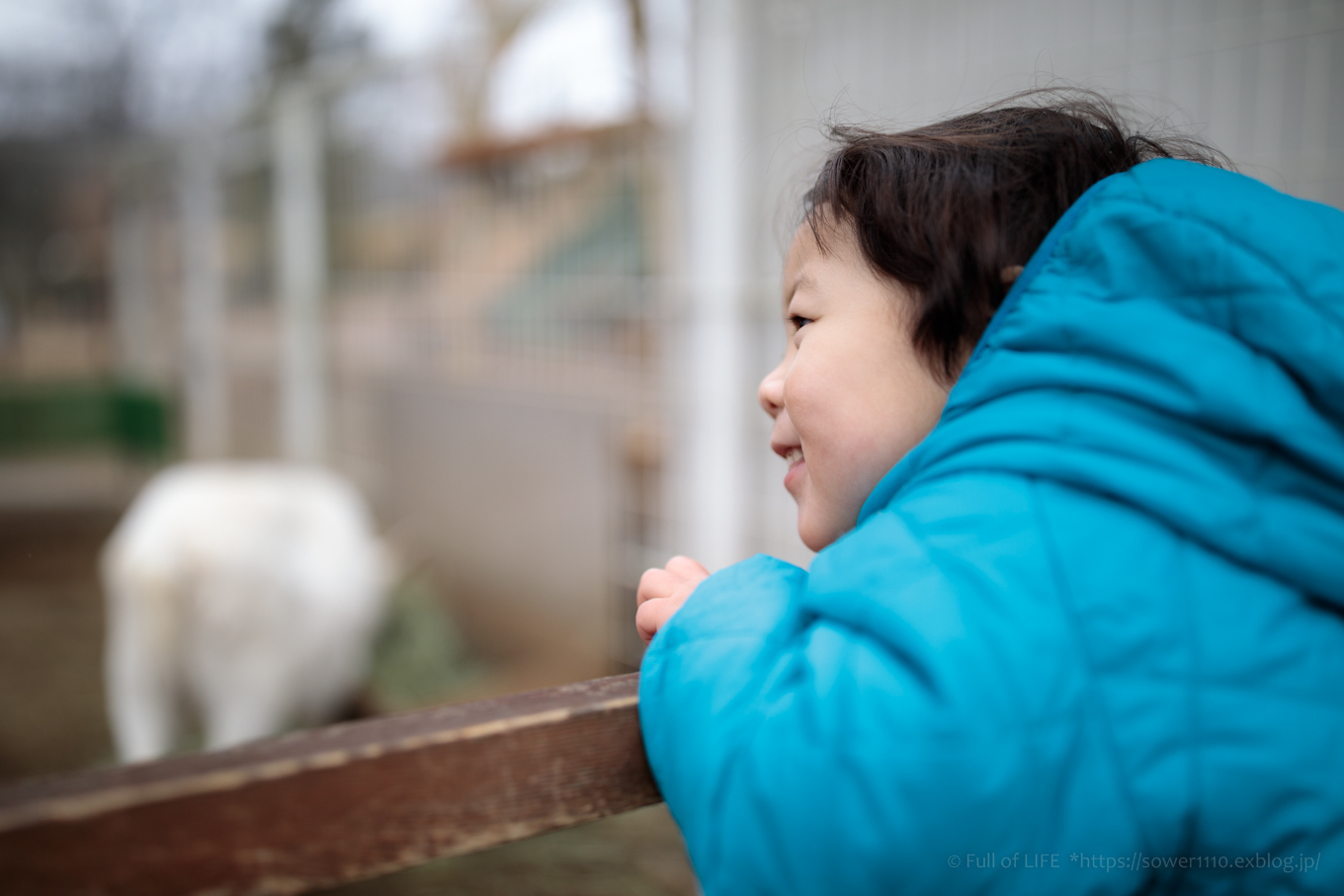 雨の日の動物園「こども動物自然公園」_c0369219_22294134.jpg