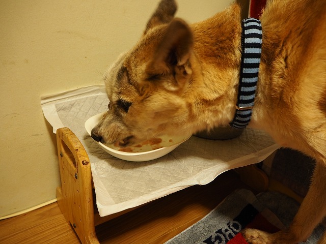 f0282319_06233397.jpg