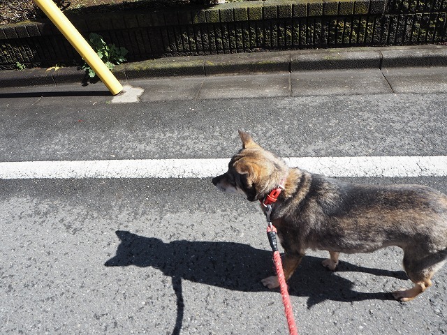 f0282319_06251708.jpg