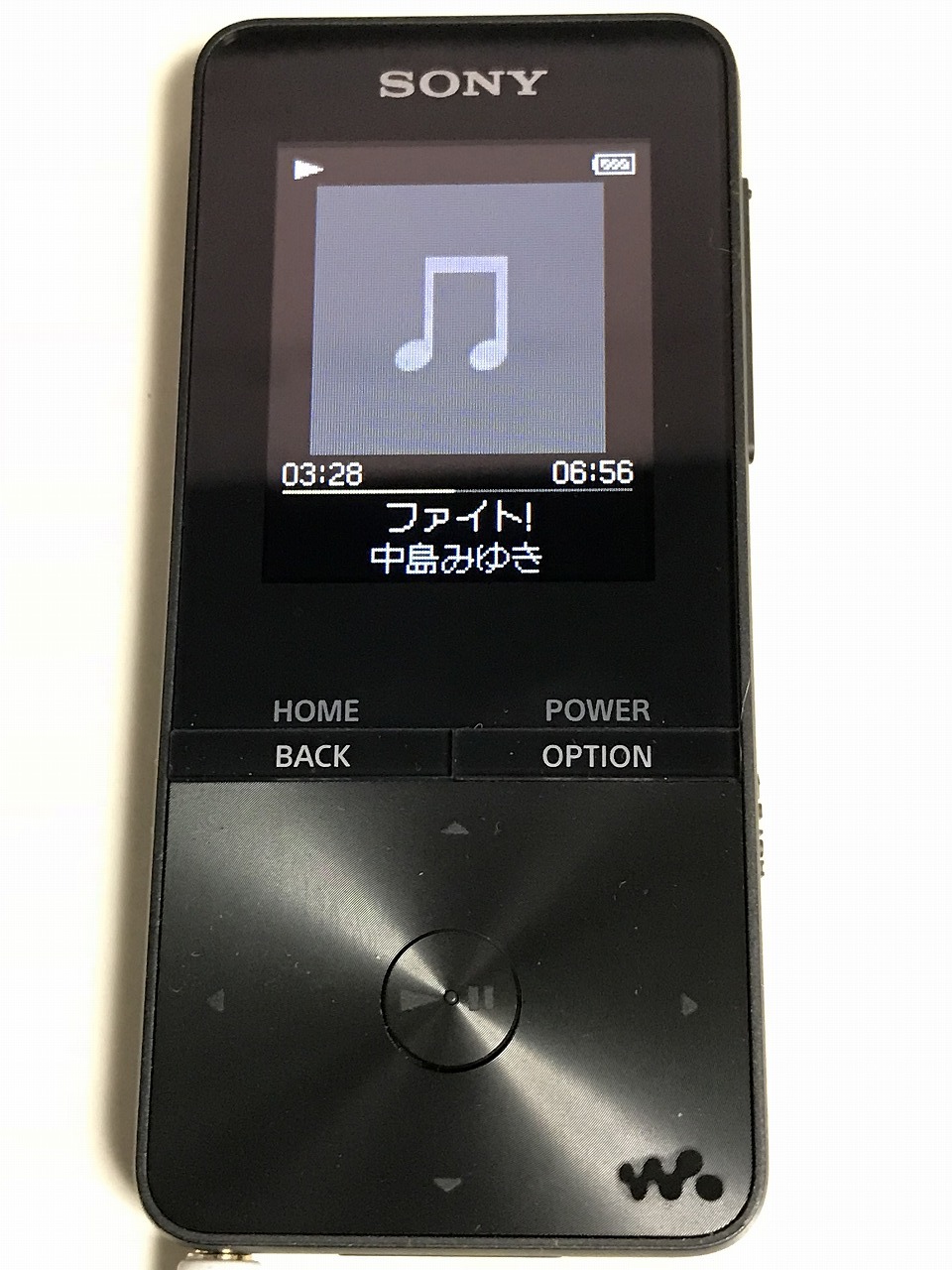 Walkman Nw S313 ｉｒｏｎのブレブレ写真館