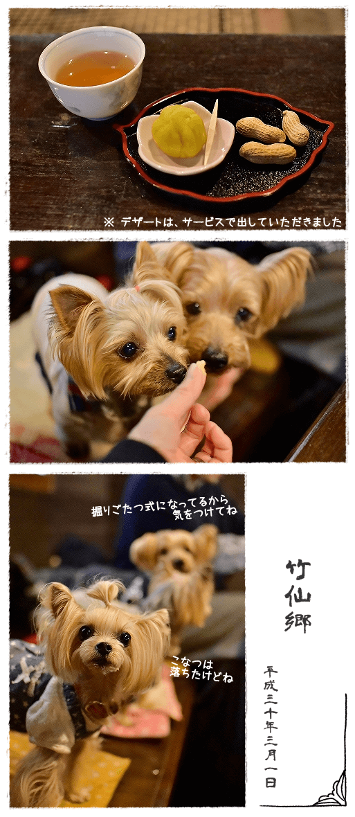 d0179828_08521890.png