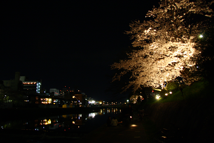京都回顧 桜の佛光寺ライトアップ_b0169330_053314.jpg