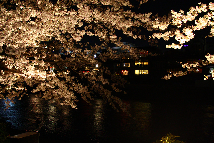 京都回顧 桜の佛光寺ライトアップ_b0169330_7104030.jpg