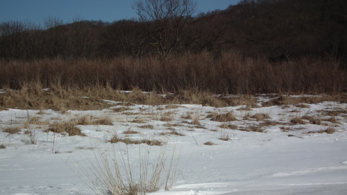 厳冬の釧路川縦走_c0185132_09075504.jpg