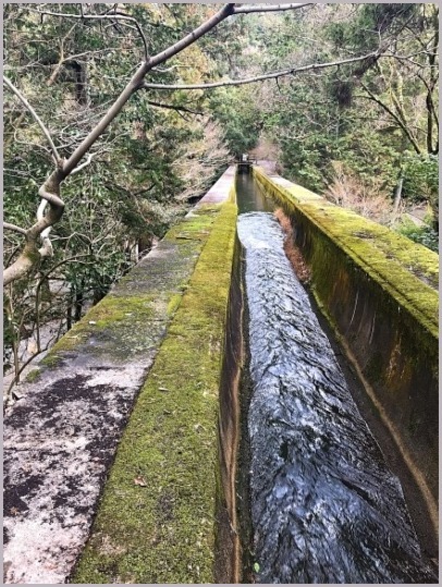 京都、南禅寺と水路閣_d0017632_21002944.jpeg