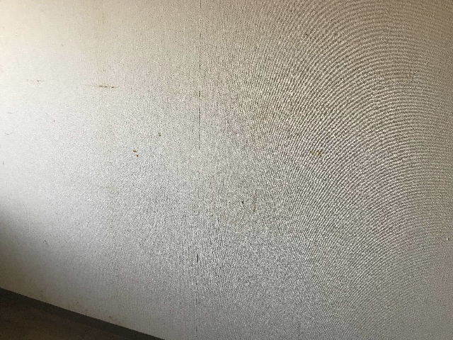 第二の物件_f0031037_20212793.jpg