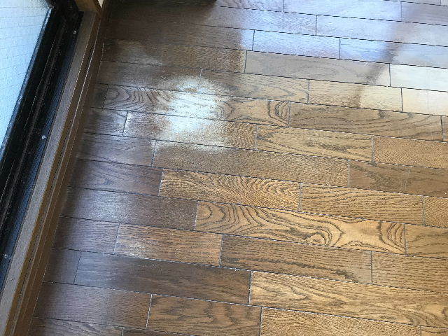 第二の物件_f0031037_20273086.jpg