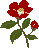 a0305046_09481311.gif