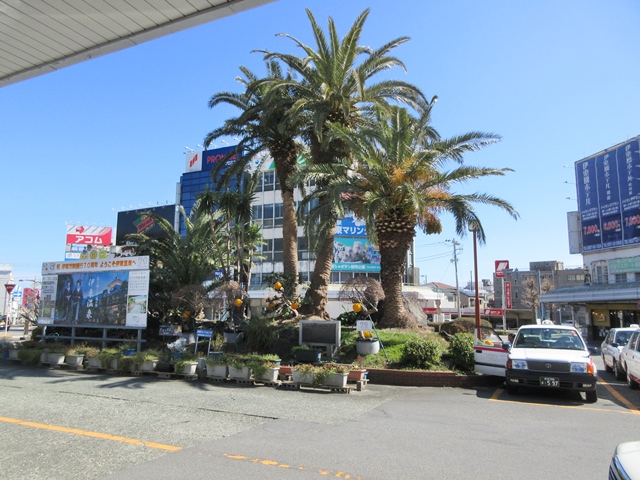 b0009849_16401945.jpg