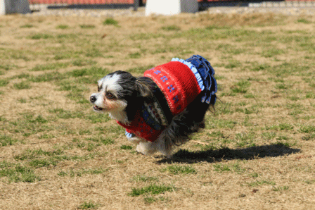 c0145250_15212259.gif