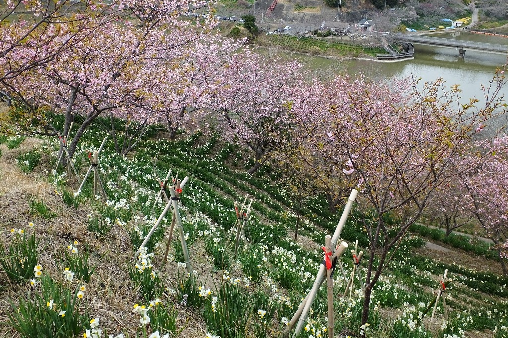 b0236251_10113229.jpg