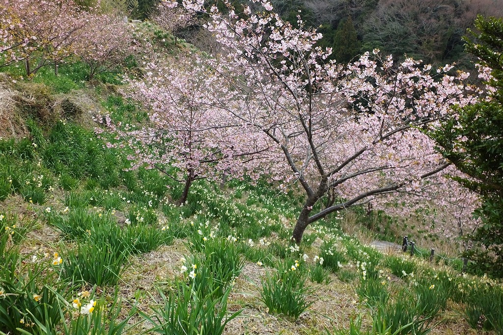 b0236251_10115910.jpg
