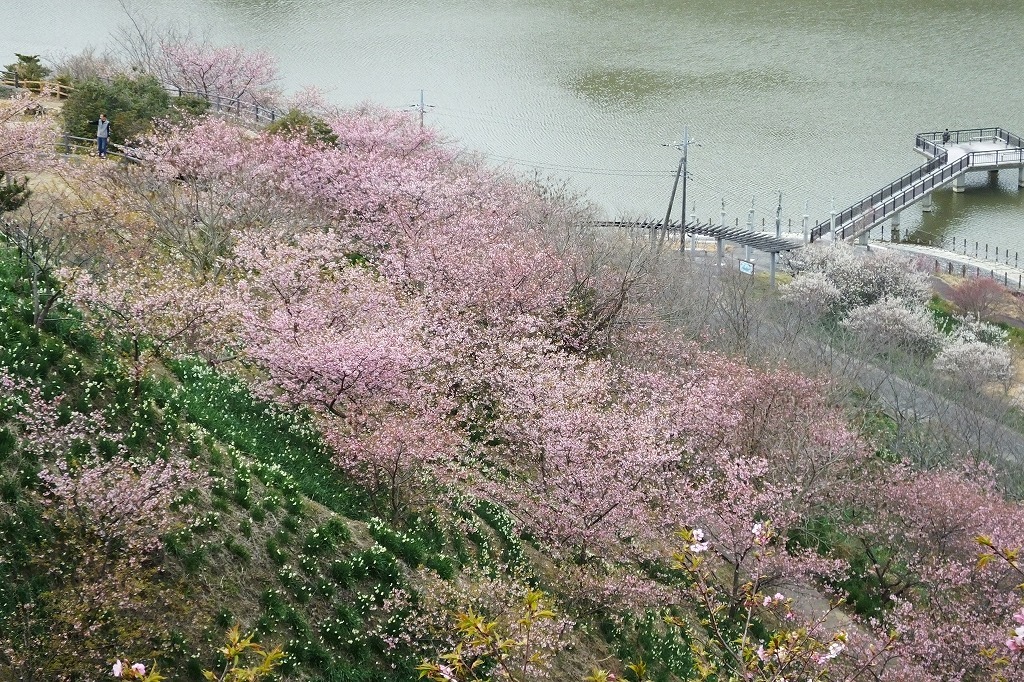 b0236251_10173593.jpg