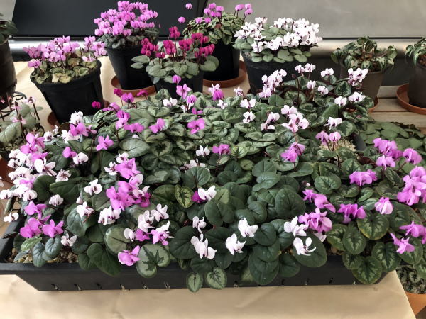 c0147952_21511090.jpg